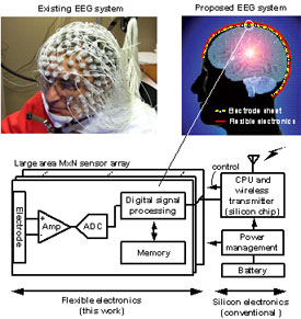 MURI—Proposed EEG System—Printed Electronics Brain Cap